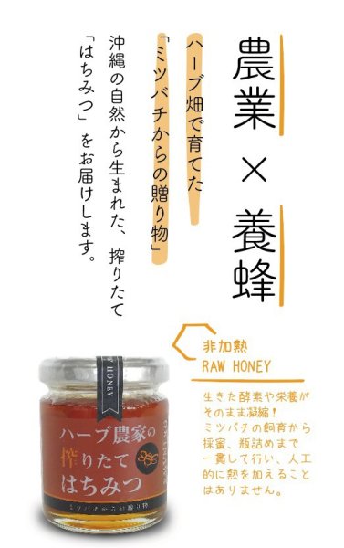 画像1: 生はちみつ『宮古島産』非加熱・無添加（110g） (1)