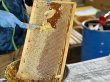 画像2: 生はちみつ『宮古島産』非加熱・無添加（110g） (2)